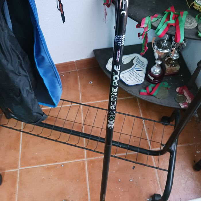 Cana de pesca Prosargos