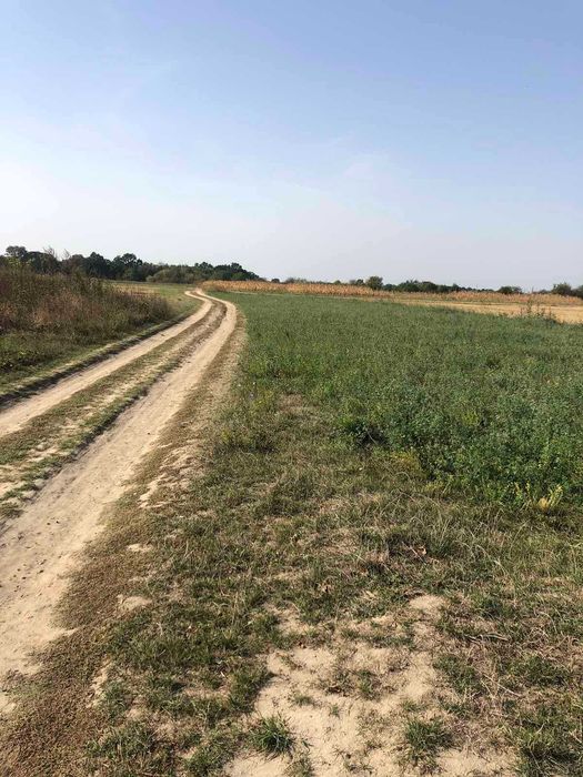 (3) Продам земельну ділянку в Писарівці 1736