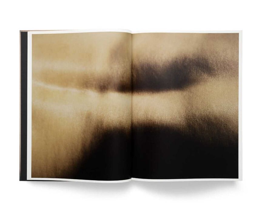 Книга Дэвид Линч американский кинорежиссёр. David Lynch. Digital Nudes