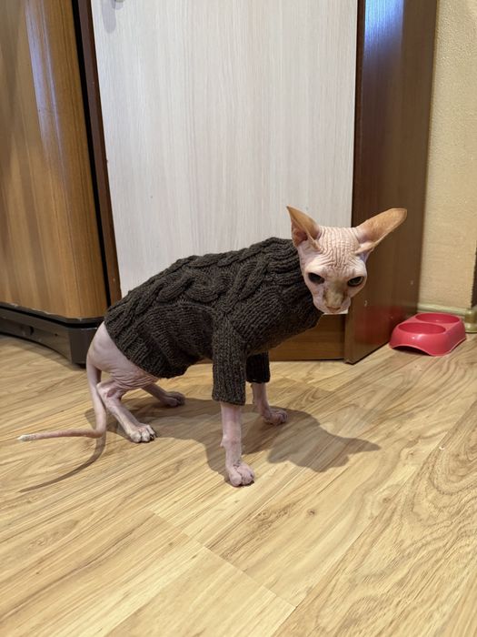 Світерок для котика/собачки