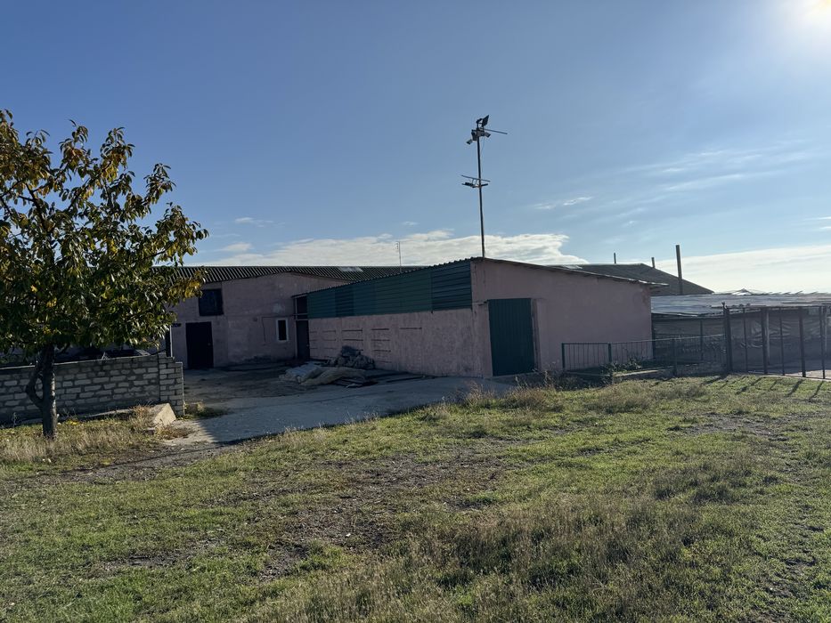 Оренда ферма/комерційна нерухомість/овоческлад/теплиці