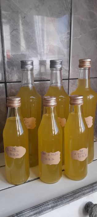 Żywy niepasteryzowany Ocet z nawłoci