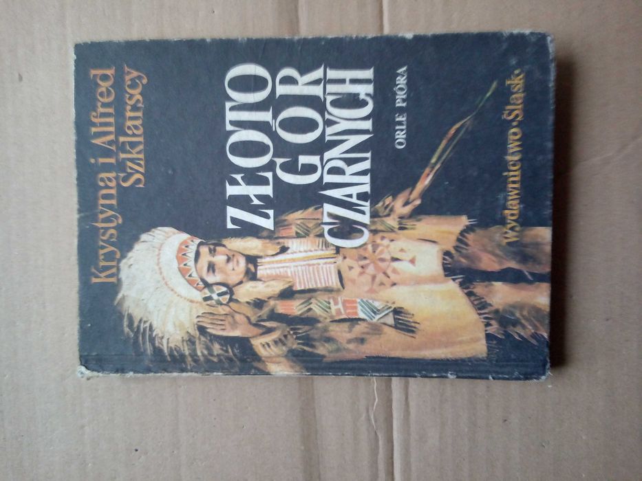 Skarb w srebrnym jeziorze - Karol May