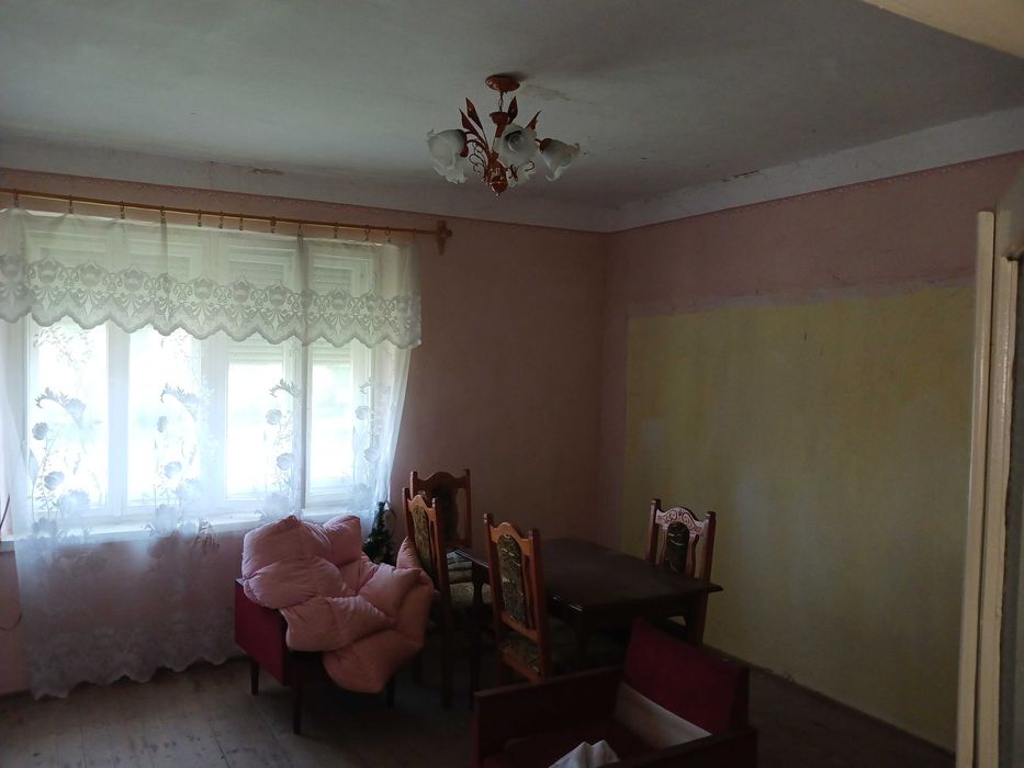 Будинок під бізнес та житло в затишному селі Берегівщини (ліс, озеро).