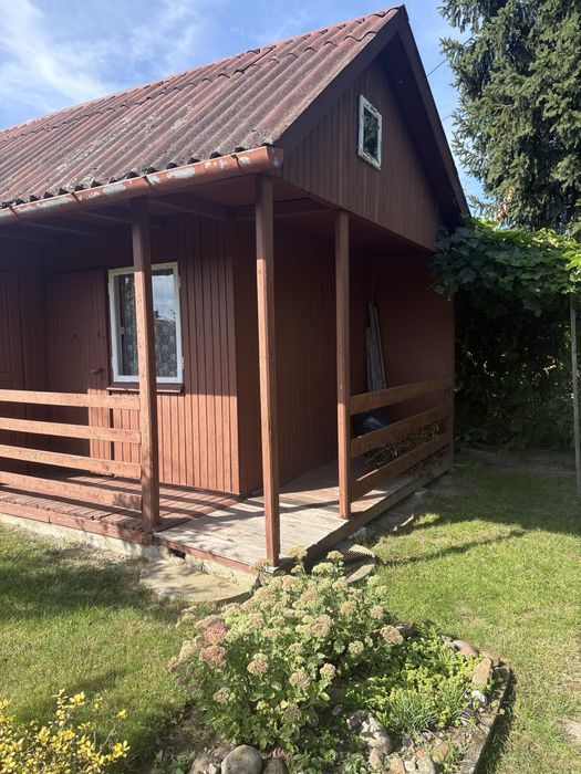 Działka ROD „AWF” Biała Podlaska przy Sworskiej - Widok 4