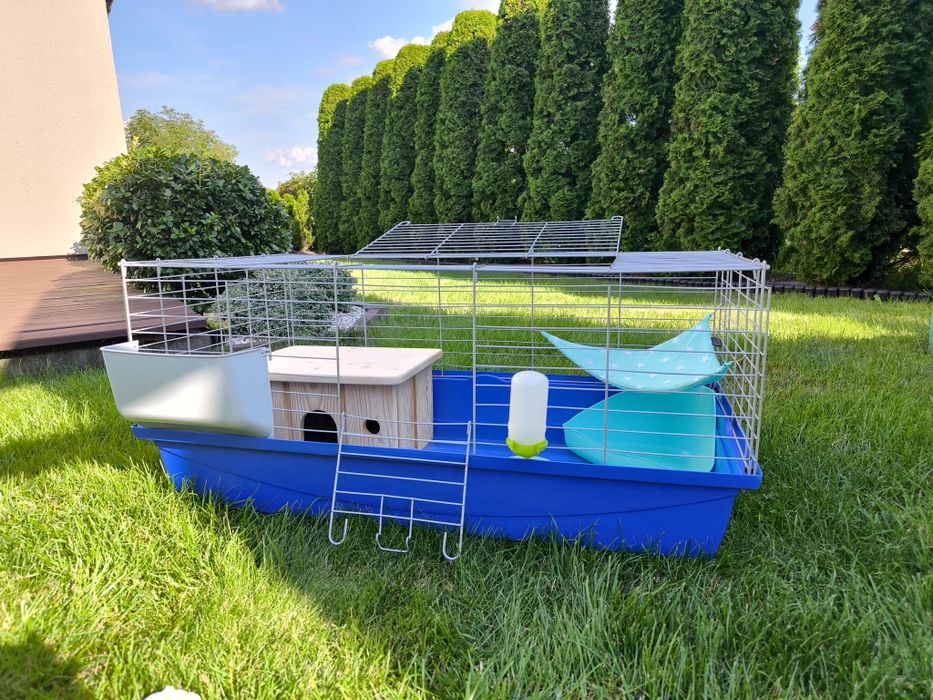 Klatka dla świnki morskiej 100x55cm z wyposażeniem