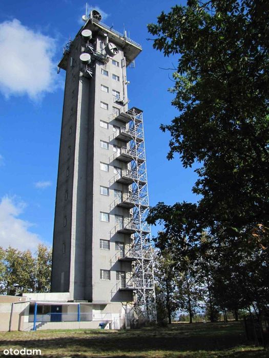 Niegowa_lokal użytkowy