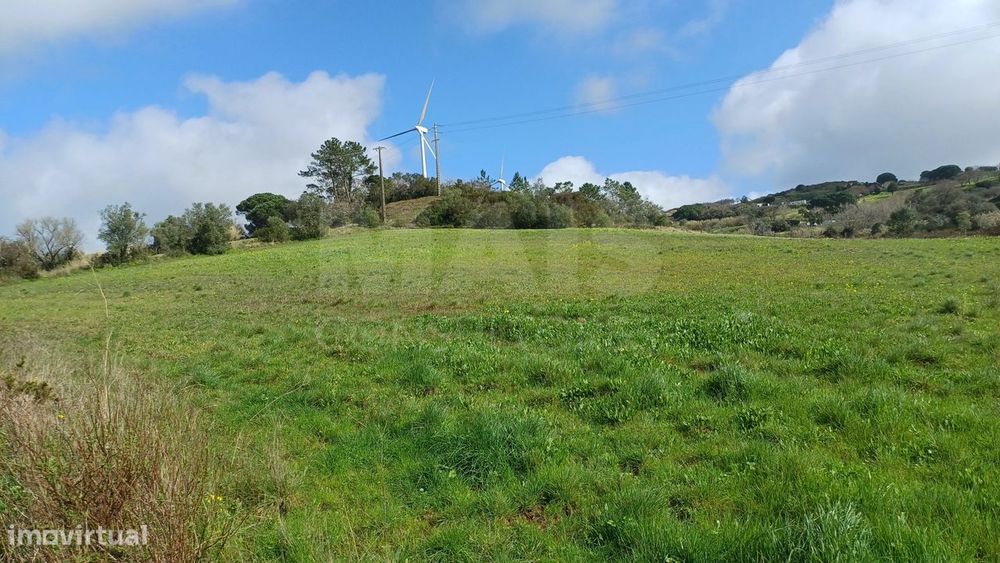 Terreno rustico 40560m2 em Sapataria