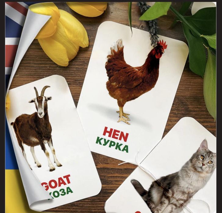 Картки Домана, нові, 13 тем, якісний картон, анг-укр