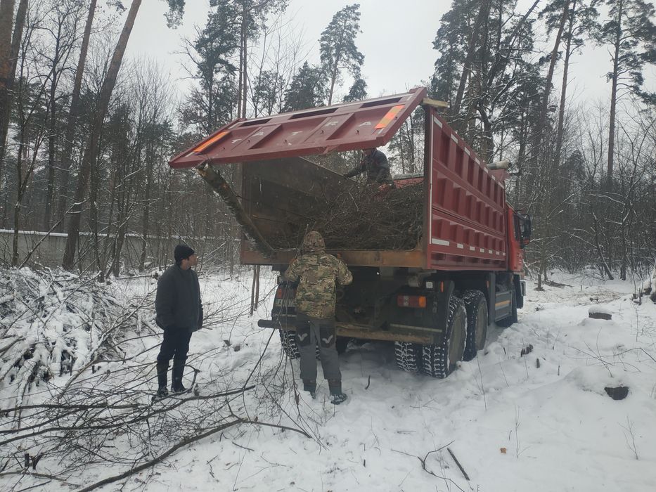 Вивіз будівельного сміття, гілля дерев, демонтаж будівель.