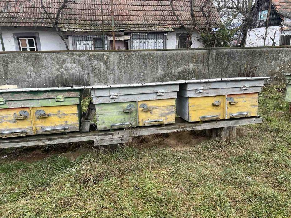 Вулики для бджіл