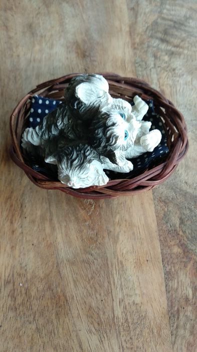 Kotki w wiklinowym koszu