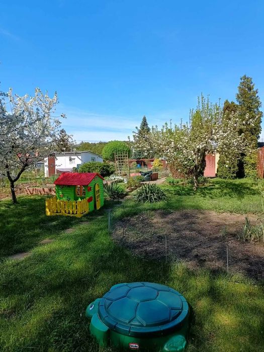 Działka ROD Wypoczynek 379 m² | domek | szklarnia | Zielona Góra