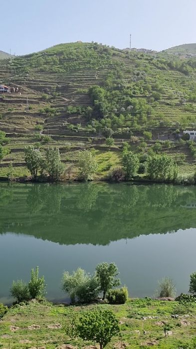 VISTOS GOLD - Prédio 3 andares Douro