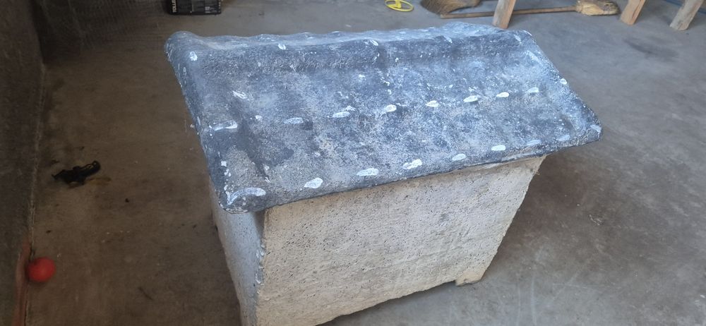 Casota de cão sem uso