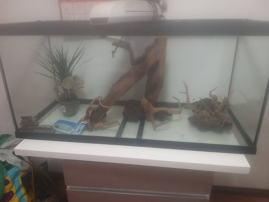 Aquario completo 200L ( com movel e acessorios)