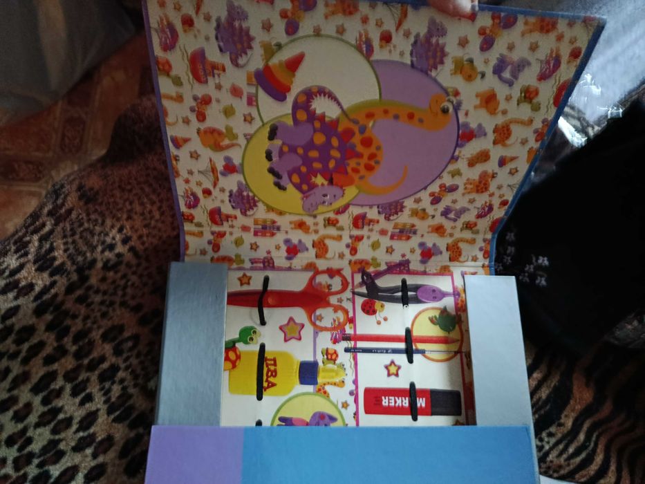 Папка +тетради школьные