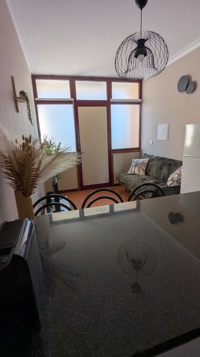Apartamento T1 em Seixas mobilado e equipado para arrendamento
