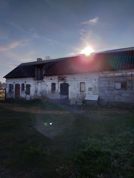 Dom z budynkami gospodarczymi na sprzedaż
