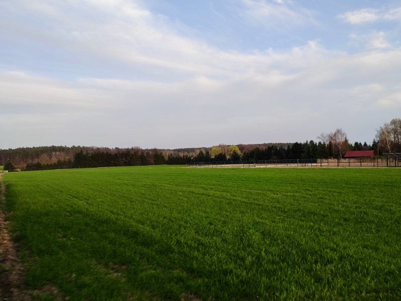 Zdjęcie 2