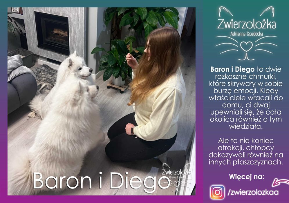 Behawiorysta zoopsycholog – Koty, Psy, Gryzonie