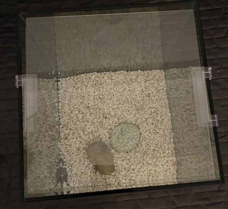 Aquário em vidro – design cúbico | 25 × 25 × 30 cm