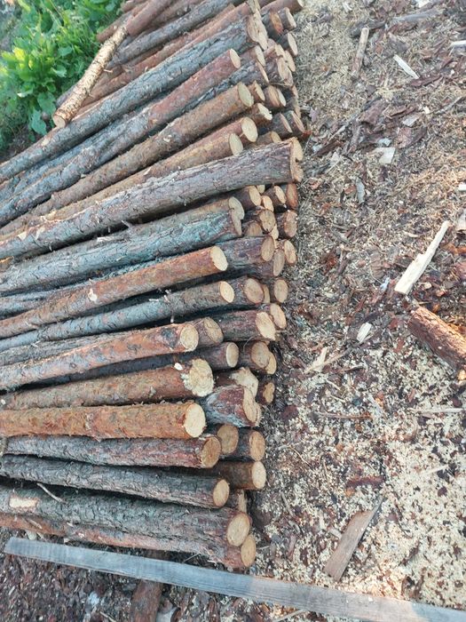 Stemple, kolki ogrodzeniowe, paliki melioracyjne,  ogrodzenia.