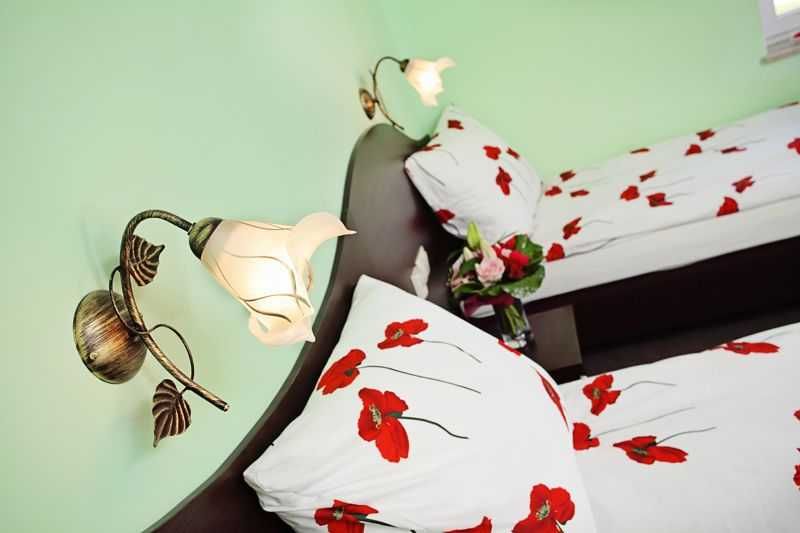 Hotel Albatros ** Restauracja , Szubin , Żnin , Wąsosz