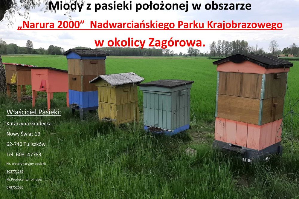 Miód, miody na prezenty