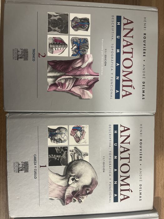 Livros Anatomia - Rouviere