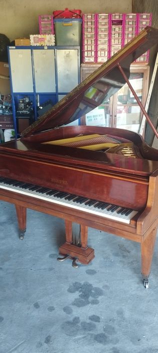 Piano de cauda Pleyel