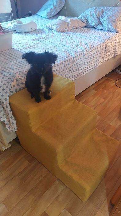 Сходинки для собак  - різна висота