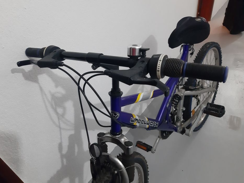 Bicicleta adulto