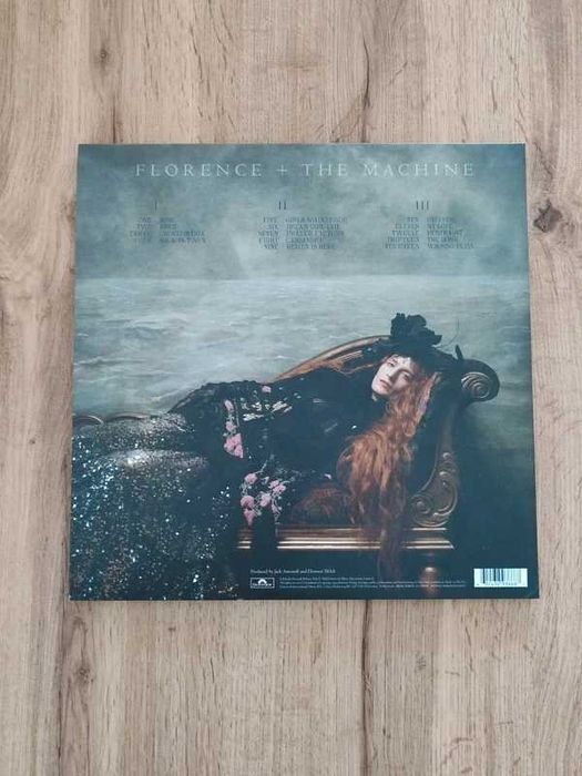 Winyl Florence + The Machine Dance Fever Picture Disc