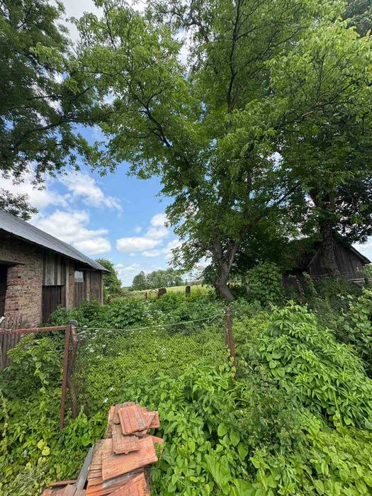 Продаж земельної ділянки з будинком с. Кагуїв