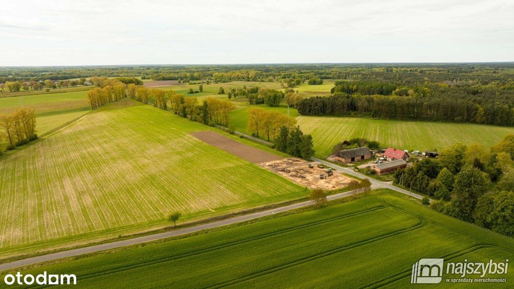 Dąbrowa Nowogardzka-działki z warunkami zabudowy