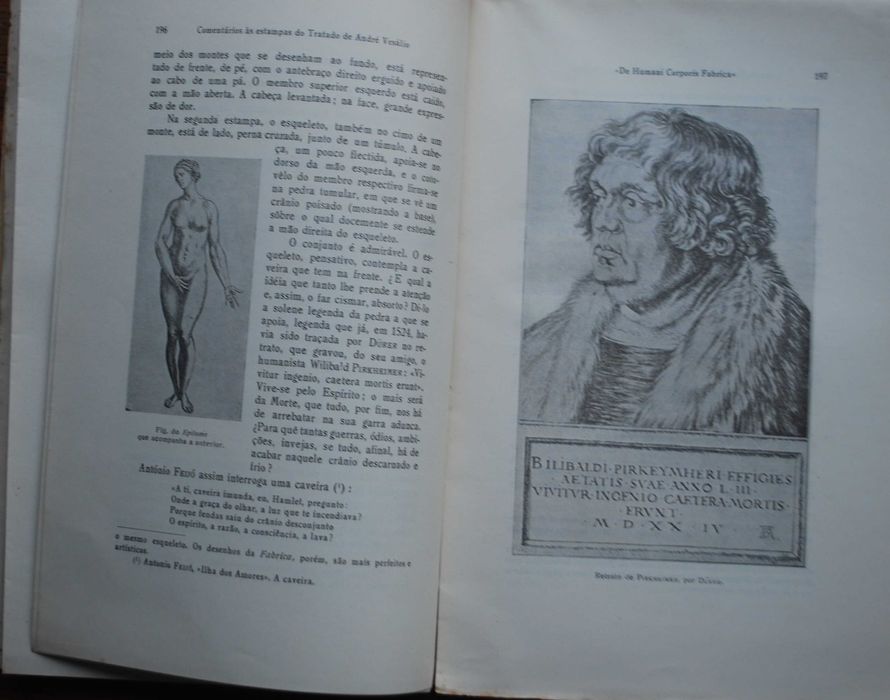 Comentários Às Estampas do Tratado de André Vesálio