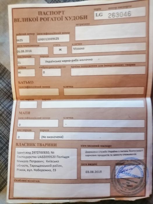 Продам тільну корову
