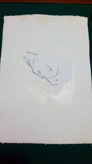 desenhos originais de Henrique Silva