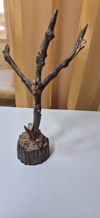 Piękna stara rzeźba z drewna rustykalną z bursztynami T22