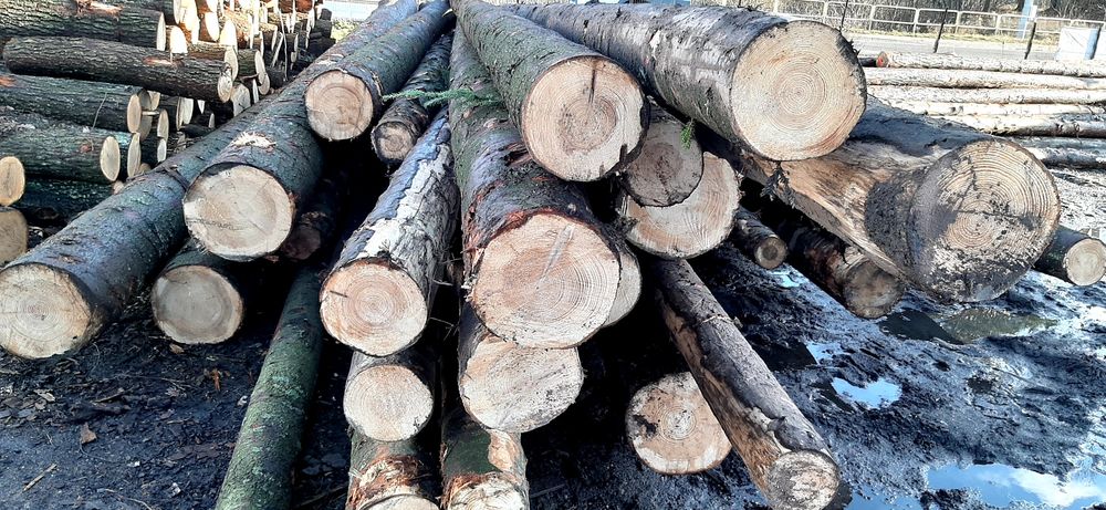 Drewno kominkowe Drzewo opałowe deski szalunkowe  dębowe bukowe