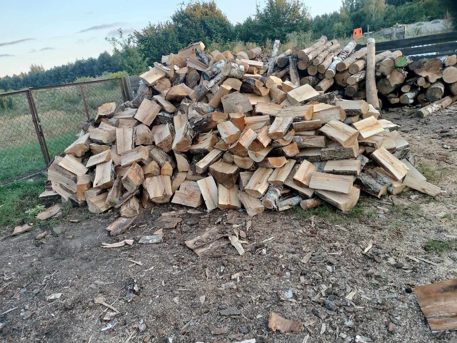 Brzoza opałowa 230zł