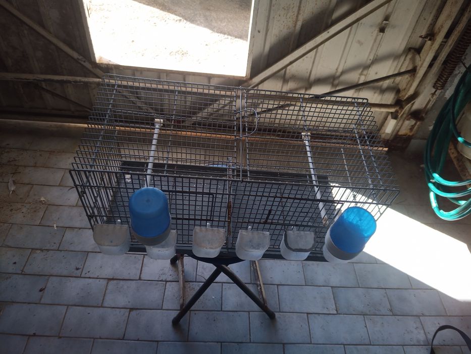 Gaiolas de criação de aves