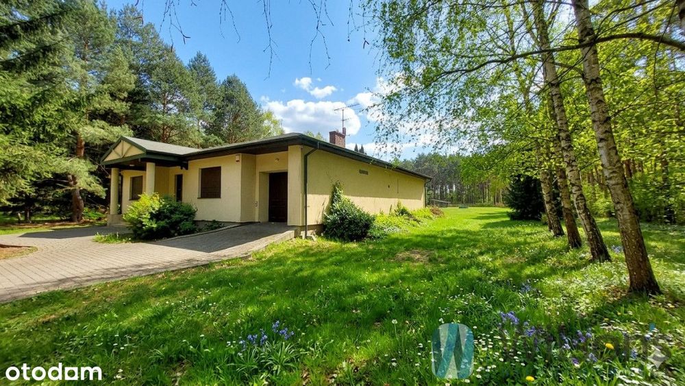 Parterowy dom 156 m na działce 9130m2