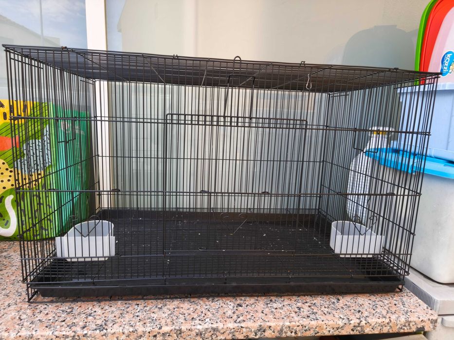 Gaiola Aves Troca/Venda