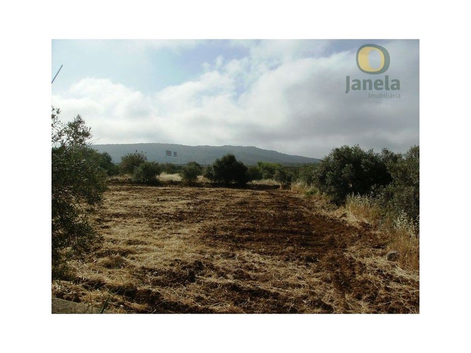 Terreno rústico com 5240 m2 bom para agricultura