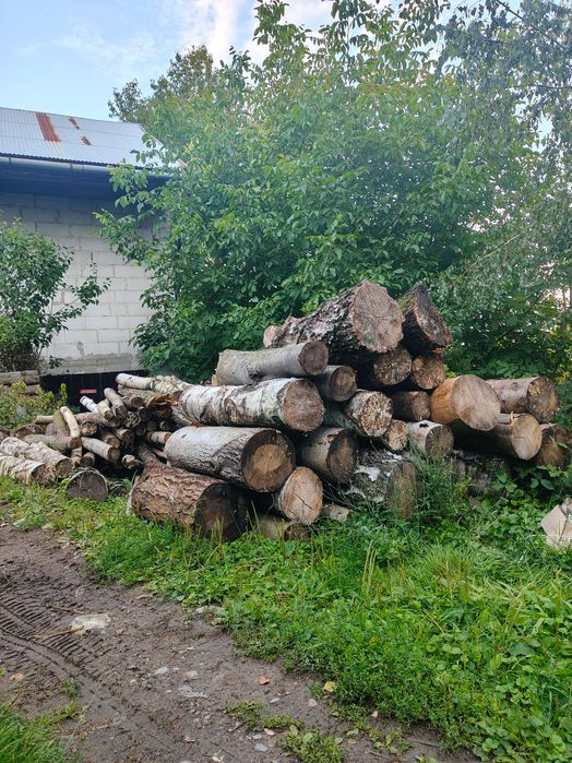 Cięcie drewna piłą