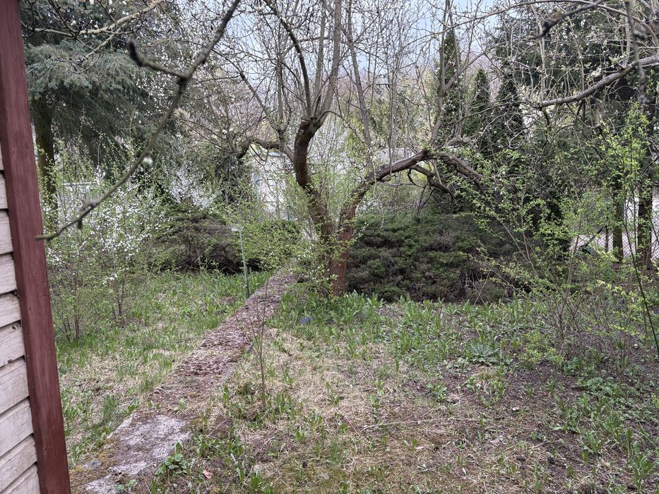 Działka Wrzesińska Kajka
