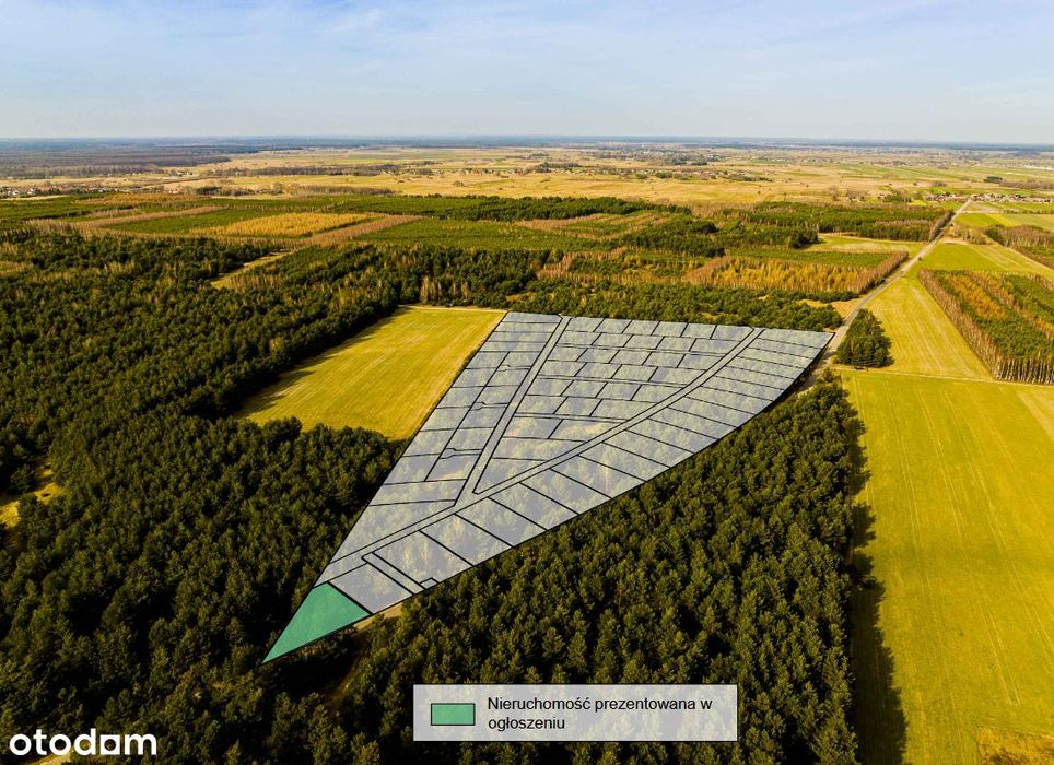 Niepowtarzalna oferta Premium - sprawdź!