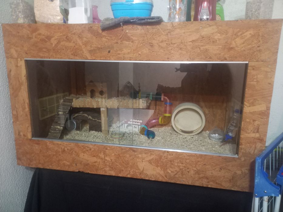 Terrario para repteis ou anfibios